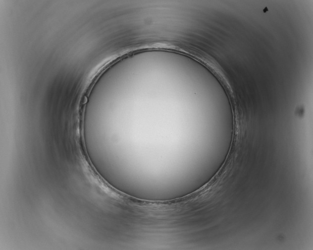 X0000113291096200909140959