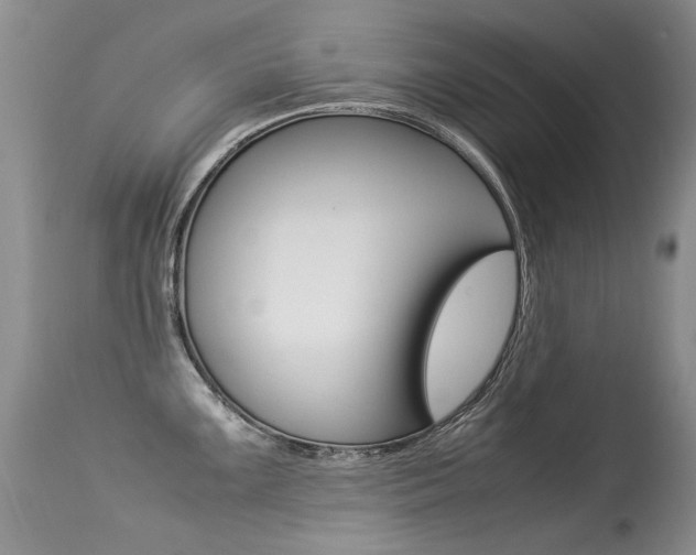 X0000113291099200909140959