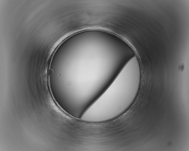 X0000113291100200909140959
