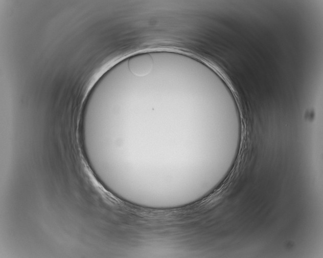 X0000113291101200909140959
