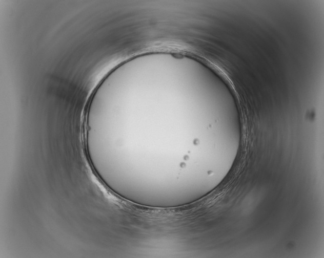 X0000113291103200909140959
