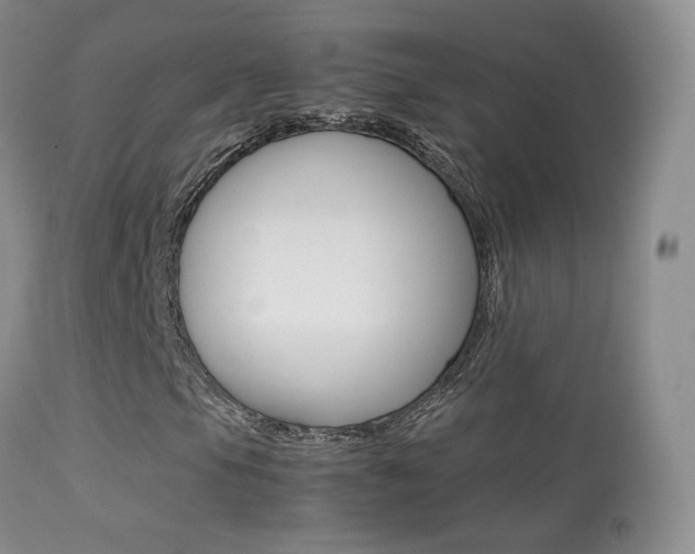 X0000113291105200909140958