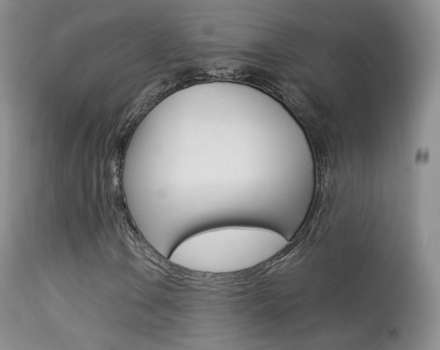 X0000113291106200909140958