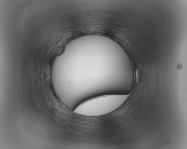 X0000113291107200909140958
