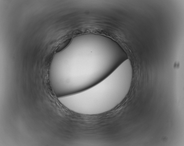 X0000113291109200909140958