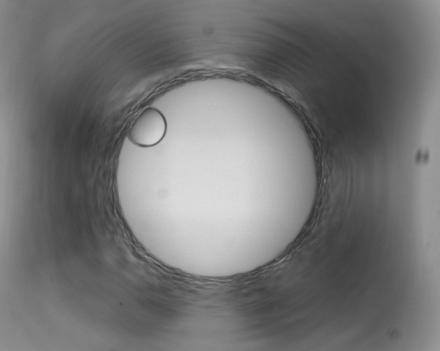 X0000113291110200909140958