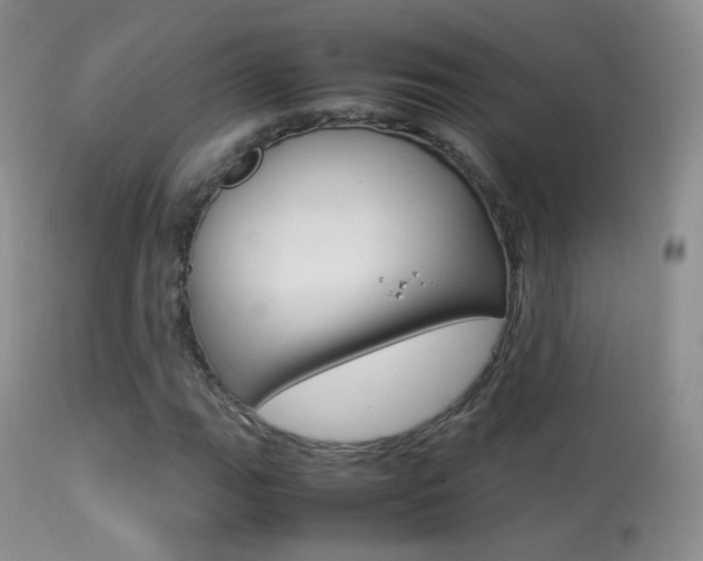 X0000113291111200909140958