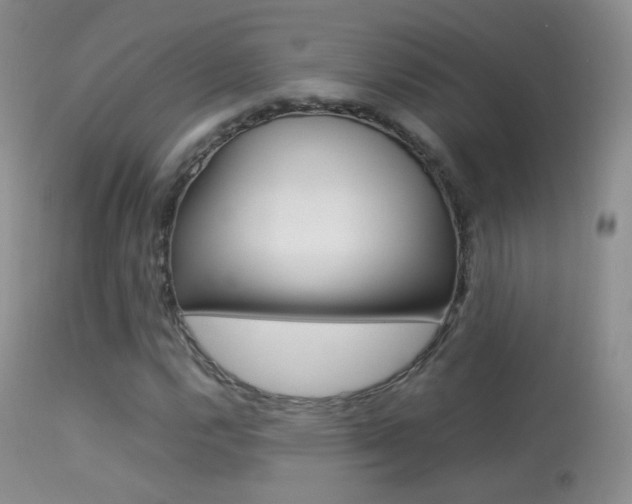 X0000113291112200909140958