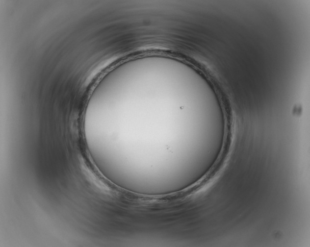X0000113291113200909140958