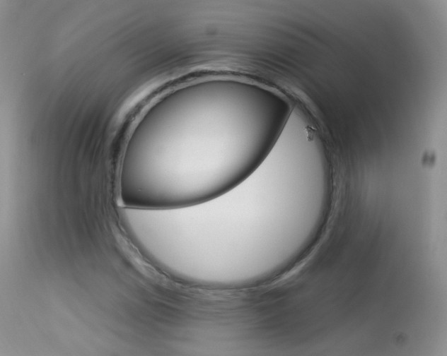 X0000113291114200909140958