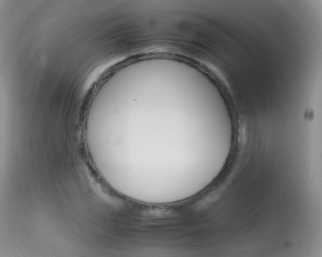 X0000113291117200909140958