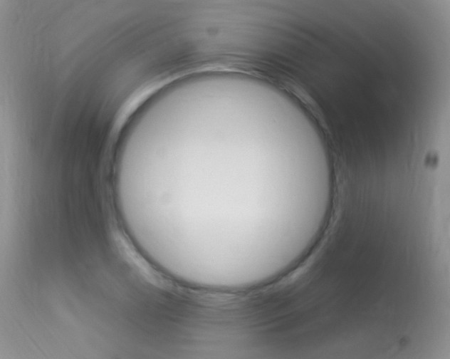 X0000113291122200909140958