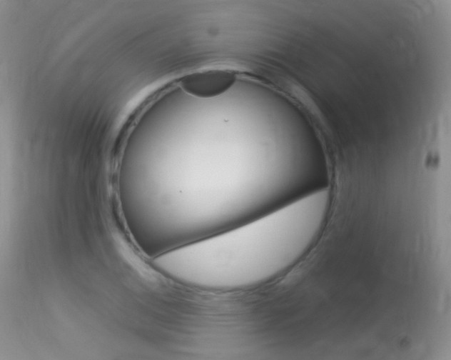 X0000113291124200909140958