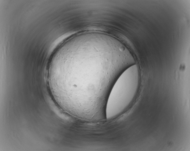 X0000113291125200909140958