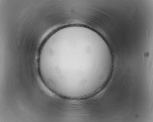 X0000113291126200909140958