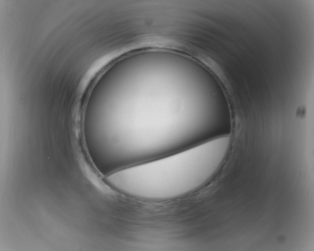 X0000113291128200909140958