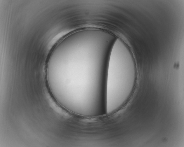 X0000113291133200909140958