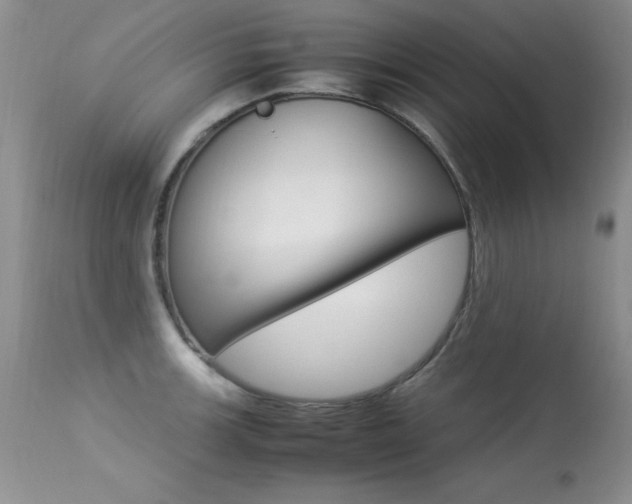X0000113291139200909140958