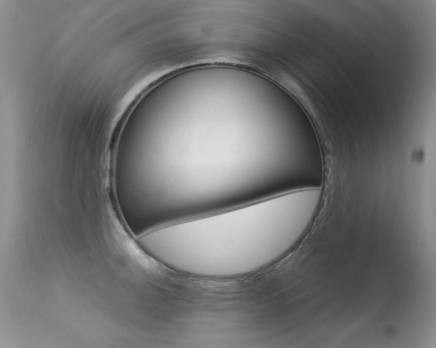 X0000113291140200909140958