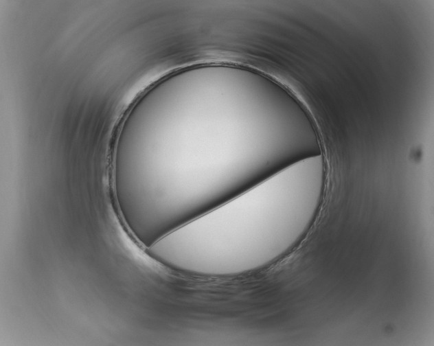 X0000113291143200909140958