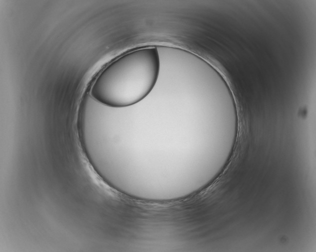 X0000113291144200909140958