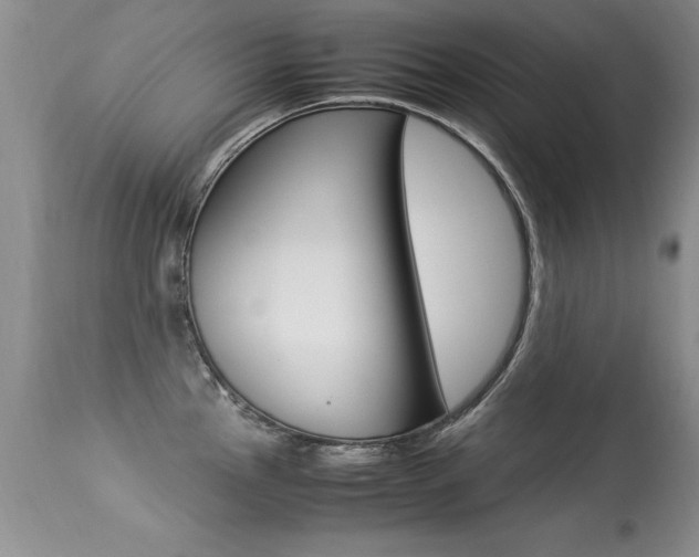 X0000113291145200909140958