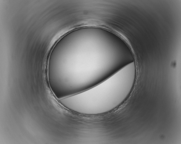 X0000113291146200909140958