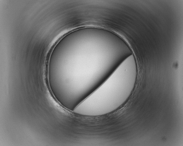 X0000113291147200909140958