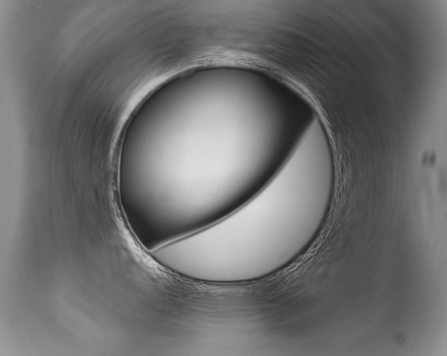 X0000113291152200909140959