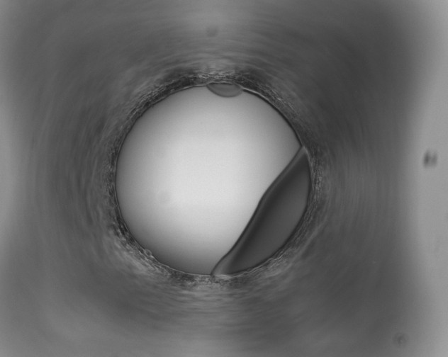 X0000113291153200909140958