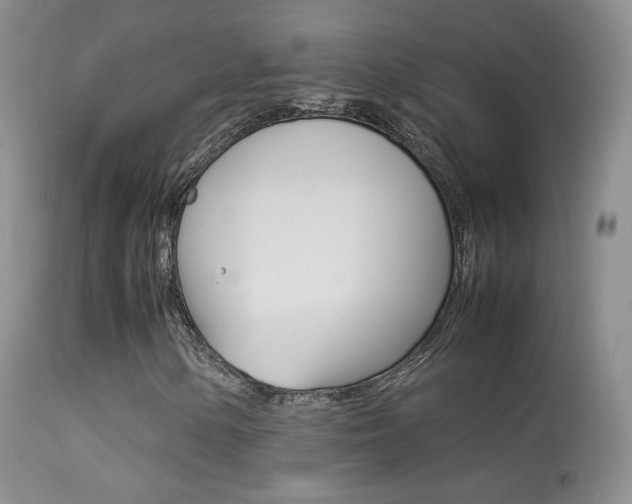 X0000113291154200909140958