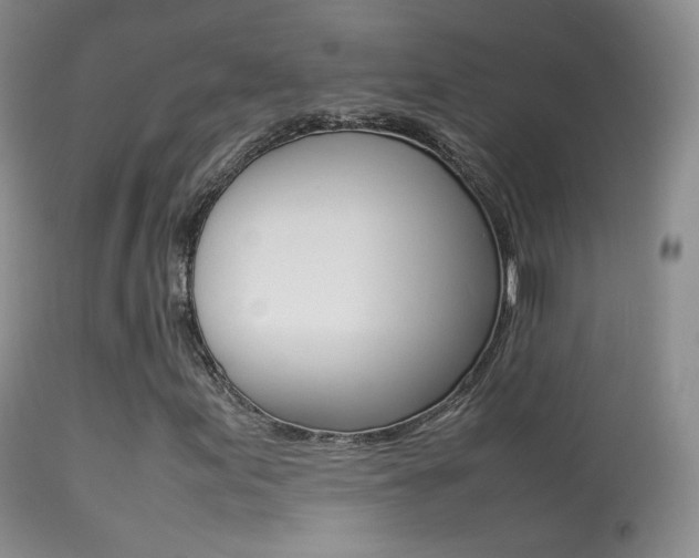 X0000113291155200909140958
