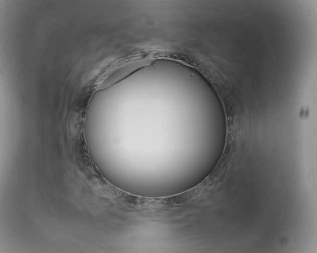 X0000113291157200909140958