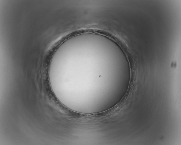 X0000113291159200909140958