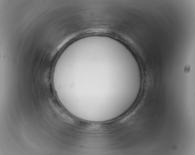 X0000113291162200909140958