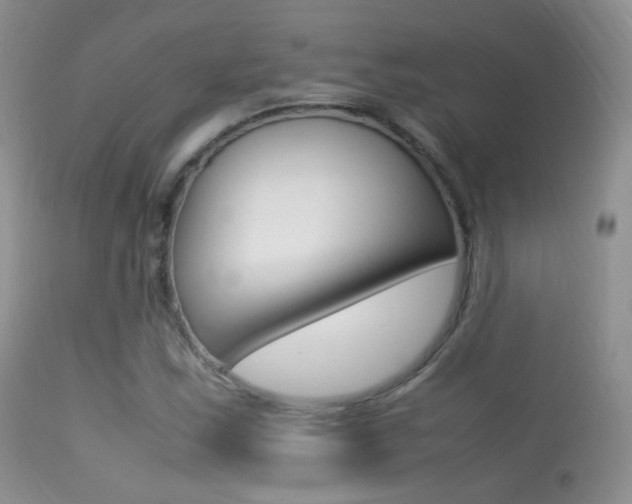 X0000113291163200909140957