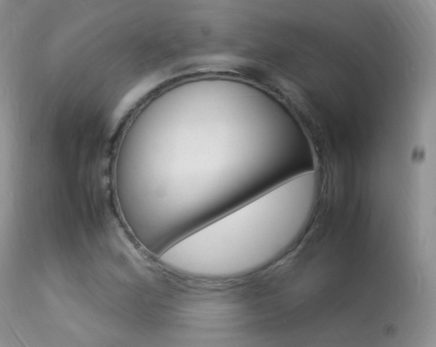 X0000113291164200909140957