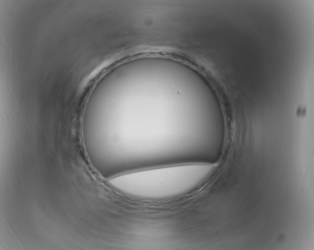 X0000113291165200909140957