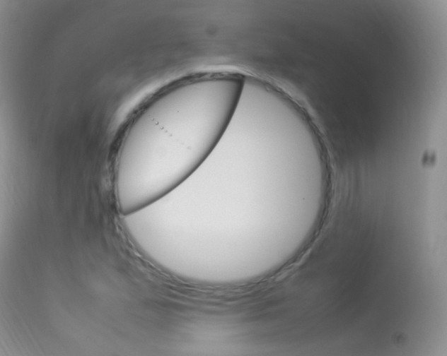 X0000113291167200909140957