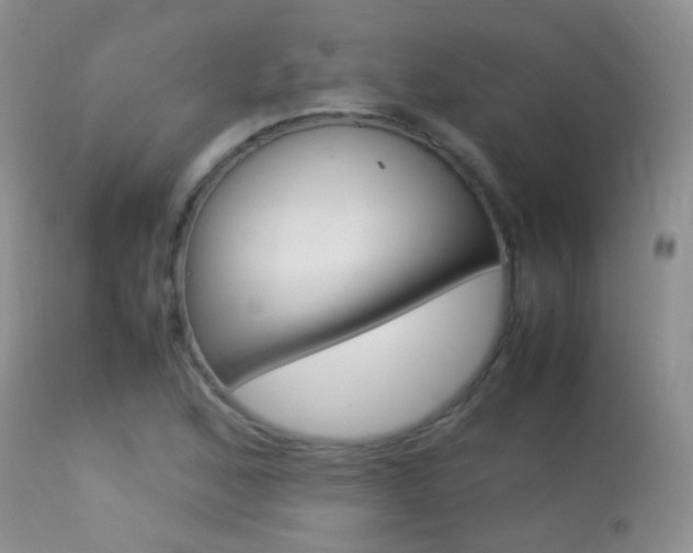 X0000113291168200909140957