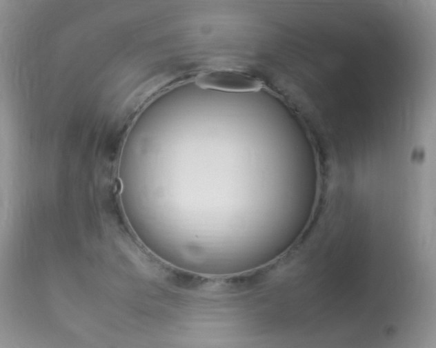 X0000113291169200909140957