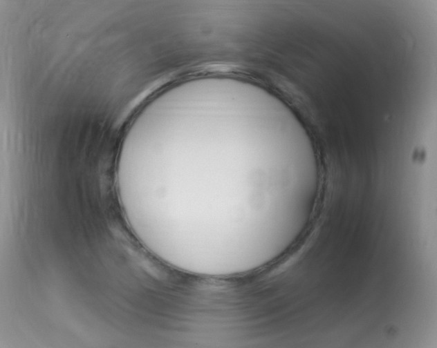 X0000113291170200909140957