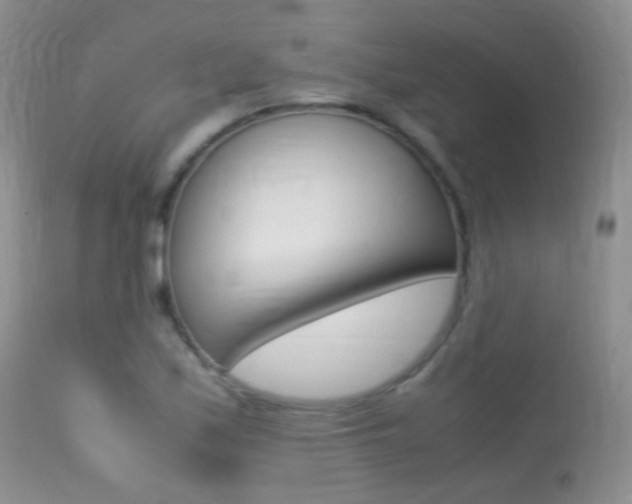X0000113291171200909140957