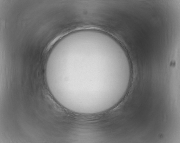 X0000113291173200909140957