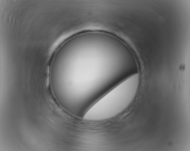 X0000113291175200909140957