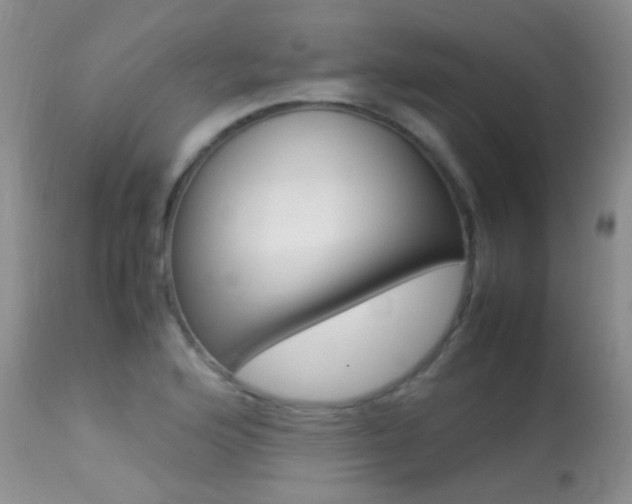 X0000113291176200909140957