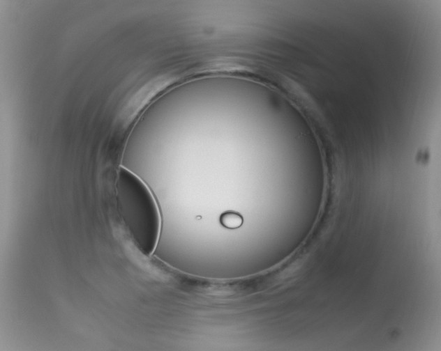 X0000113291177200909140957