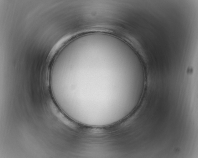 X0000113291180200909140957