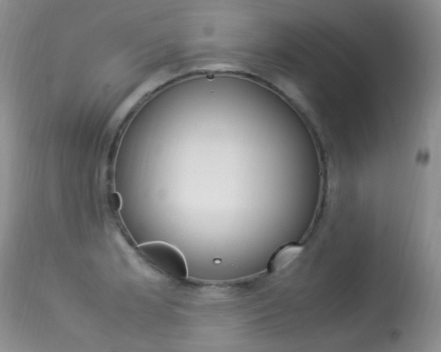 X0000113291181200909140957