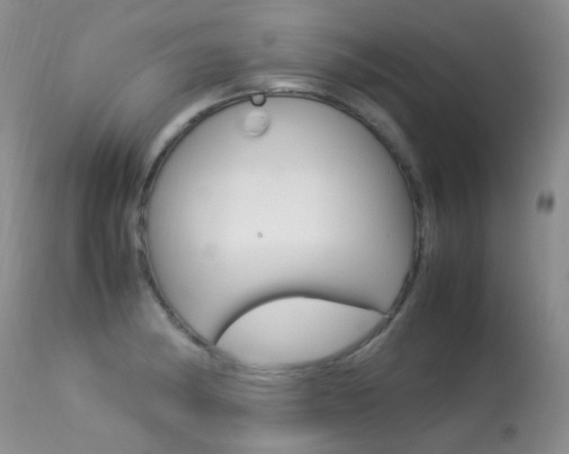 X0000113291182200909140957